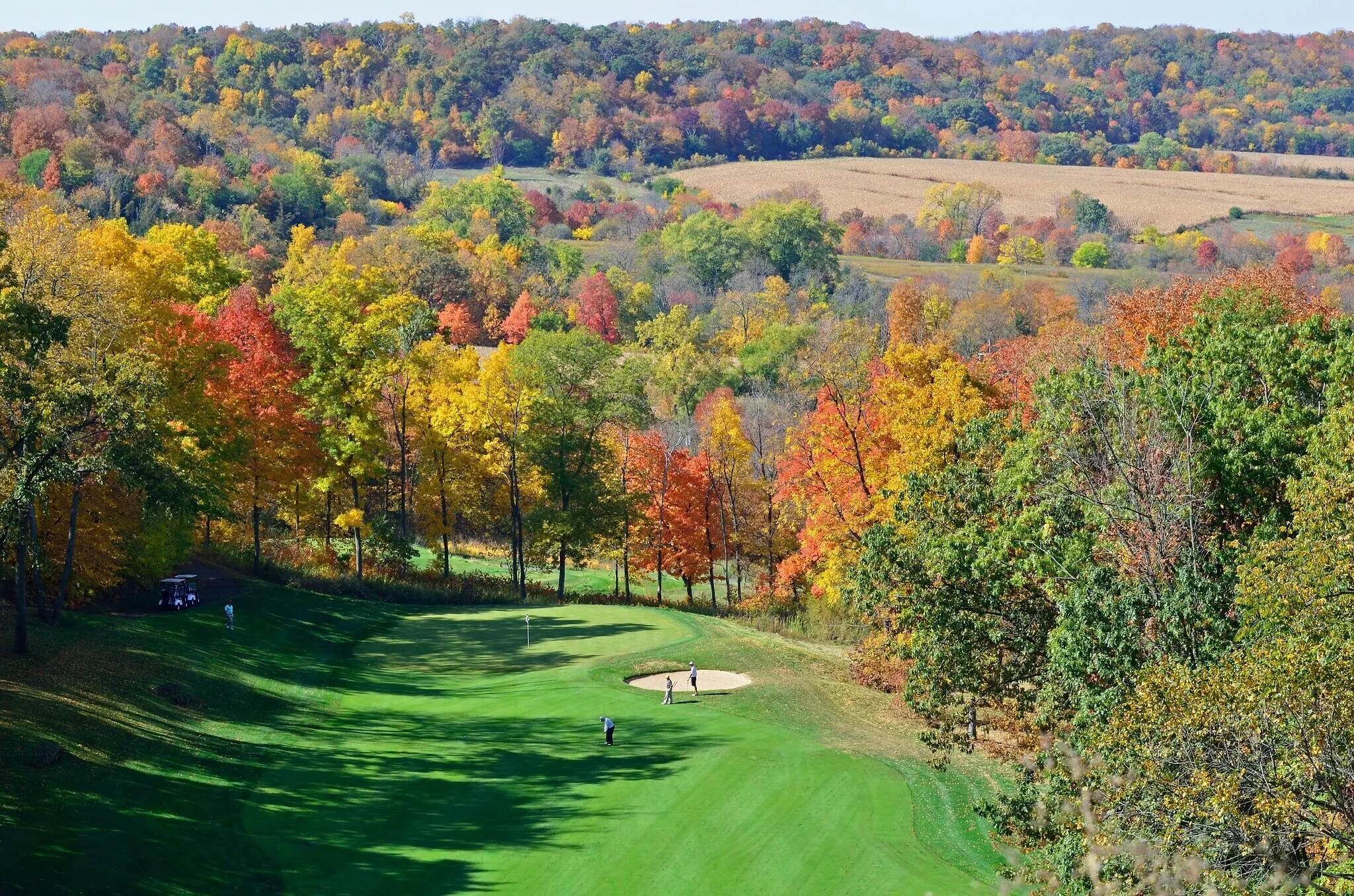 Golfers on a green surrounded by colourful autumn trees at Eagle Ridge Resort and Spa.